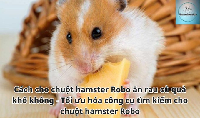 Cách cho chuột hamster Robo ăn rau củ quả khô không - Tối ưu hóa công cụ tìm kiếm cho chuột hamster Robo