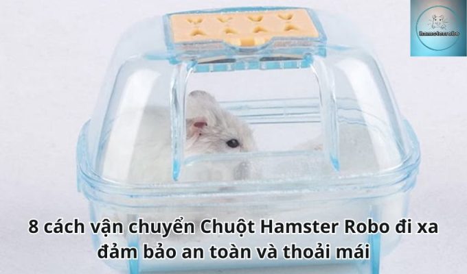 8 cách vận chuyển Chuột Hamster Robo đi xa đảm bảo an toàn và thoải mái